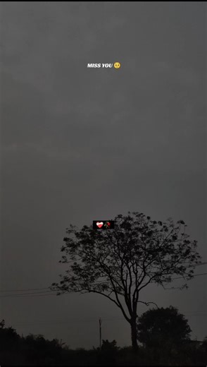 shayari whatsapp status #shortfeed#whatsappstatus#trending