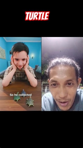 a turtle #nothingimposibleinthisworld