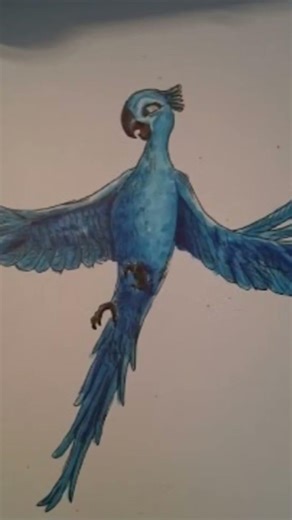 #birds blu et perla #cpl réel🔥🐦🐦