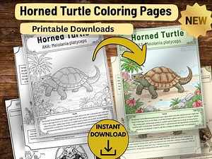 Horned Turtle Extinct Animal Coloring Pages - Etsy