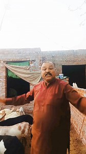 346K views · 20K reactions | Allhumdolila ...... Moja He Moja.... | Vella Lamrdar | Facebook