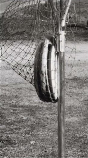 The Evolution of the Disc Golf Basket