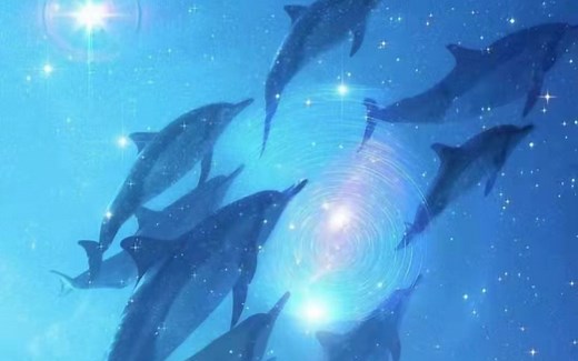 海豚之歌Llewellyn - Dolphin Song