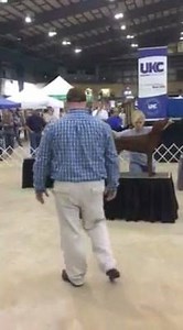 UKC Coonhounds on Reels