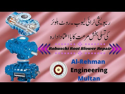 Robuschi Tri lobe blower Repair
