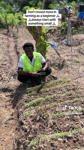 Beginner Farming Tips: Start Small for Success