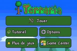 Test de Terraria sur iPhone