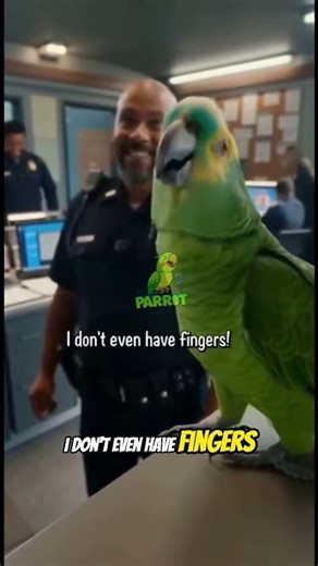 This Parrot's Cop Jokes Are Absolutely Brutal #parrot #funny #humor