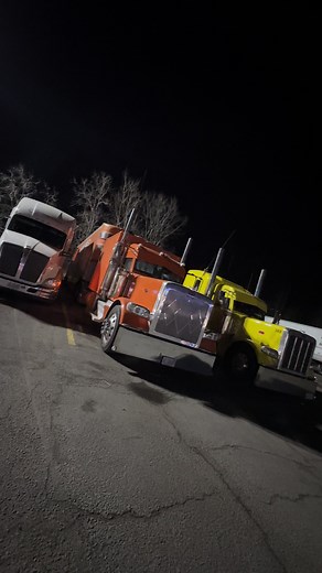 doababelt389 on TikTok