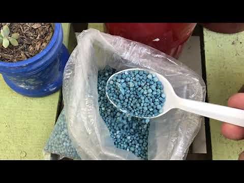 NITROFOSKA Fertilizer HOW DO I USE IT?