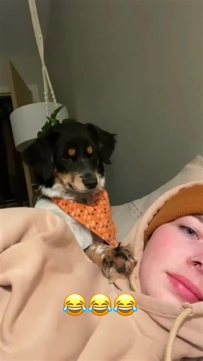 Funny Animal Voiceovers That Will Make You Laugh