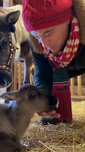 651K views · 33K reactions | 歷✨ There are magical moments… and then...