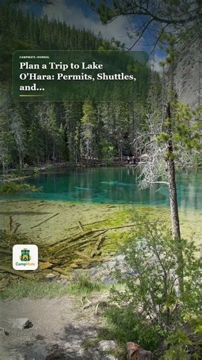 Plan a Trip to Lake O'Hara: Permits, Shuttles, and a Perfect Day in Yoho