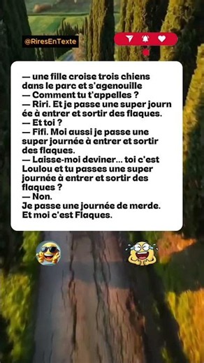 🐶😭 Flaques #france #shorts #memes #youtube #fyp #drôle #humor #blague #comédie #rire #paris