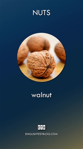 Walnuts in Spanish Slang: Learn English Vocabulary