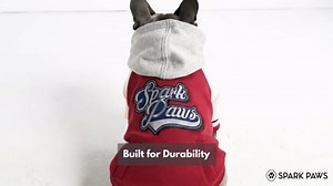 Spark Paws Varsity Dog Hoodie – Premium Dog Sweater for Small, Medium, and Large Dogs | Warm Clothes for Pets, Winter Jacket Alternative - Blue - L