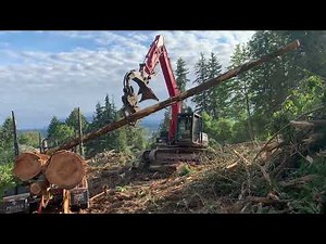 Loading Logging Trucks