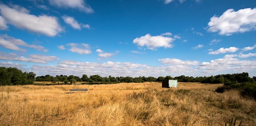 The world endured 2 extra heatwave days per decade since 1950 – but the worst is yet to come
