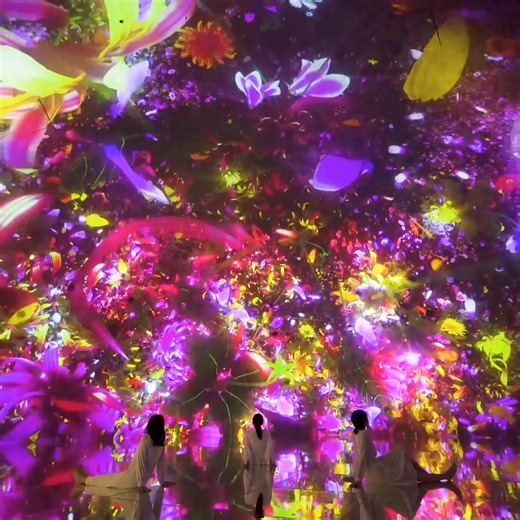 On view at “teamLab Planets TOKYO” Toyosu, Tokyo https://www.teamlab.art/e/planets/ ・ The artworks change depending on the presence of people, and the existence of the artworks is continuous with your body and with others. Immerse yourself physically in the massive artwork spaces, perceive them with your body, and become one with the art. ・ 作品は、自分や他者の存在によって変化し、作品の存在は、自分の身体や他者と連続的である。 そのような巨大な作品群に、他者と共に、身体ごと没入し、身体で認識し、アートと一体となる。 ・ 「チームラボプラネッツ TOKYO DMM」 東京, 豊洲 https://www.teamlab.art/jp/e/planets