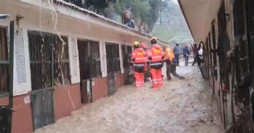 Vídeo | El rescate (con final feliz) de 41 caballos del Club Hípico de Málaga