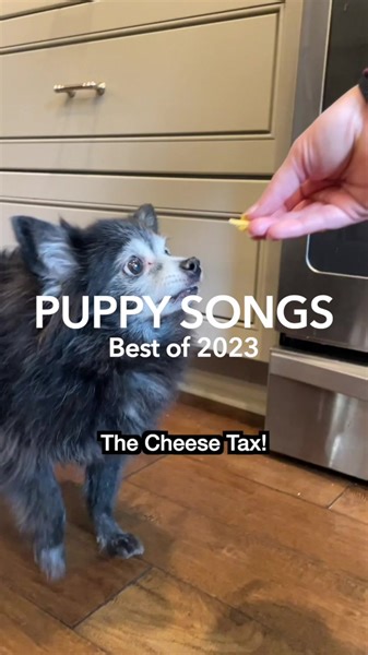 4.8K views · 159 reactions | Full “Best of 2023” compilation vid now available on YT ❤️落https://youtu.be/stH6wvUq_4E?si=HvfEvjbiE5Z2LDGJ | Puppy Songs | Facebook