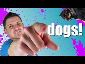 Dogs Should Be Circumcised