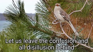 VOLARE - Bobby Rydell (1960) | MUSIC of MY LIFE