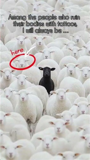 #veantattoo #tattoo #piercing #bristoltattoo