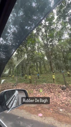 22K views · 97 reactions | @daya_karan @yokohamaindiaofficial @traveloholic.adventures @vacationsclub08 @incredibleindia . . . #travel #lifestyle #kerala #dayakaranvlogs #vlogger #instagram #reel #trendingreels #videocreator #incredibleindia #roadtrip #india #punjab | Dayakaran vlogs | Facebook