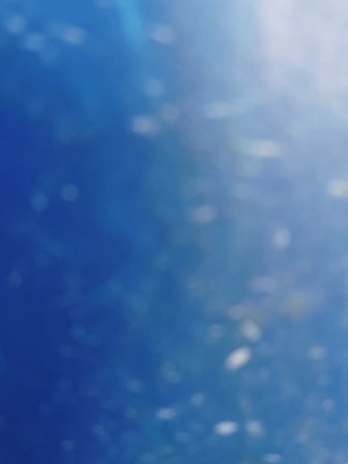 Best islamic Live Wallpaper #100kviews #1millionviews #foryou #mashallah🕋🕋🤲🤲☝️☝️ #1millionsviews #mashallah😍😍😍 #foryouviral