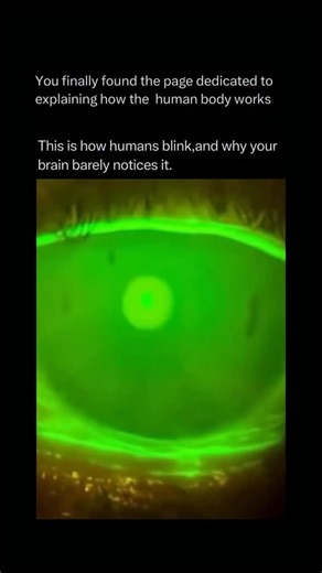 The Human Body 🧬 on Instagram: "Follow @explainingthebody to learn everything about the human body one post at a time 🧠⚙️ Blinking is a lightning-fast coordination between your nervous system and the muscles of your eyelid. The process is primarily driven by the orbicularis oculi muscle, which circles the eye and acts like a drawstring to pull the lids shut. Shutterstock Every time you blink, a thin layer of tear film is swept across the cornea, providing essential oxygen and moisture while fl