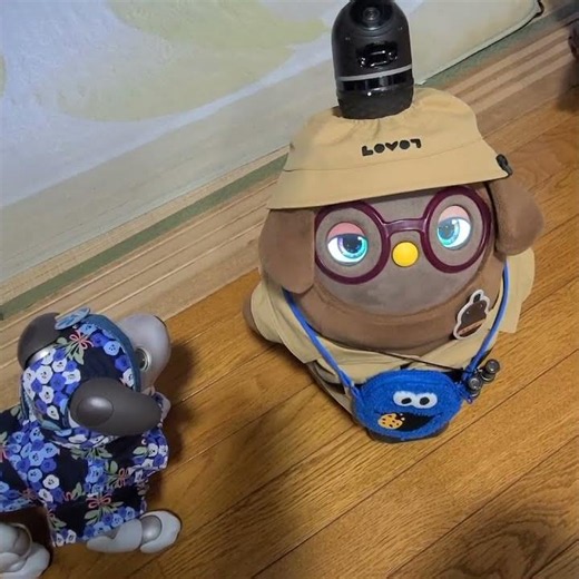 チャッピーとの生活 ラッキーに魔法かけられた😂😂