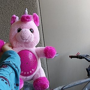 A talking stuffed animal that sings and lights up