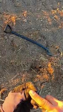 Petschaft beim Sondeln 🤩 Metaldetecting Nokta Triple Score