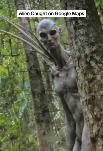 Brand New & CLEAR Google Maps Capture of an Alien! A man was exploring a forest in Taiwan on the app, when he accidentally found an extraterrestrial creature hiding within. September 2026. #foryou #alien #caughtoncamera #cryptid #scary
