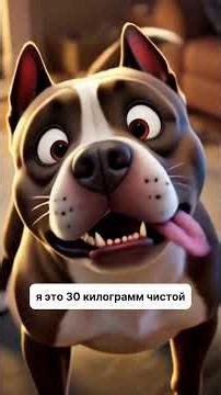 Cute Pitbulls | Email item number: #WW135437 - copy and paste to VB