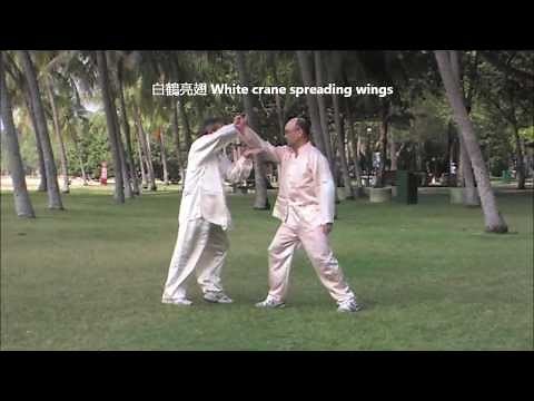 Chen Style Taiji Applications (108 Techniques) 陈式太极拳应用法（功法108手）