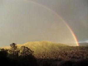 Double Rainbow Remix