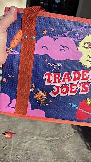 New Trader Joe's Mini Tote Bags Review and Uses