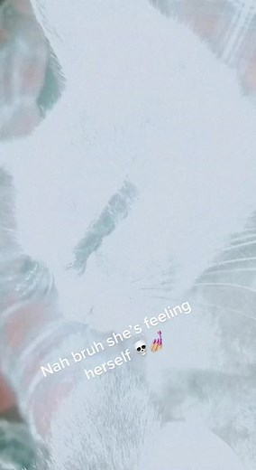 1991 Mercedes Benz 190e (@1991mercedesbenz190e2.3)’s videos with original sound - 45speed20kendo