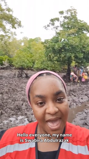 @WWF UK and the British Red Cross have been working with local communities to restore mangroves, forests, and wetlands in Lamu County, Kenya. Led by WWF-Kenya and the Kenya Red Cross Society cross over 200 local community members came together to plant mangrove seedlings across an area the size of 14 football pitches. 33,000 seedlings were planted across three days, surpassing the initial target of 25,000! 🌱 This project is part of a global effort to build climate resilience in vulnerable regio