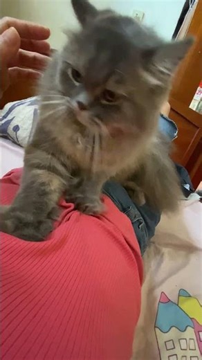 Fat cats get fat really fast.