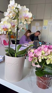 Integrationskurs A1 online. Anmeldung: info@languagecoach.de#integrationskurs #integrationskursonline #onlinegerman #germanonline #deutschonline #deutschkurs #languagecoachinstitute | language coach institute