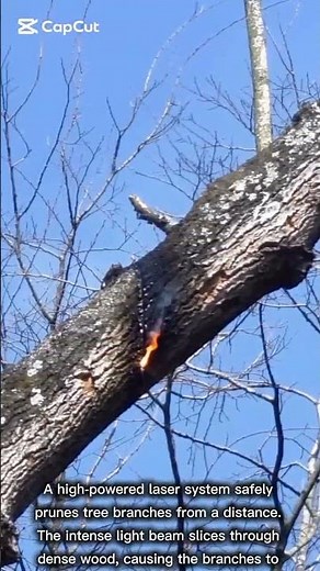Cutting-Edge Laser Tree Trimming Technology