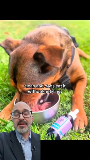 9.3K views · 109 reactions | Fix your dog’s health before the vet bill hits!  Get your dog collagen here https://amzn.to/3UMwn7c #petwellness #pethealth #petsoftiktok #petremedies #petsafety #pethacks #dogsoftiktok | Curapelos | Facebook