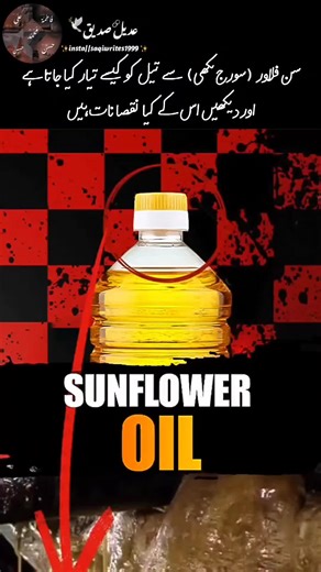 Sunflower Oil Production Process Explained