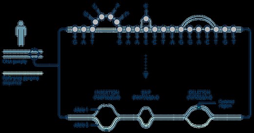 Seven Bridges GRAF | Pan-Genome Analysis for Next-Generation Sequencing Data