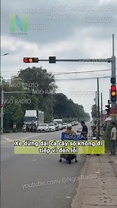 Đèn đỏ lỗi là đứng lại luôn không dám vượt