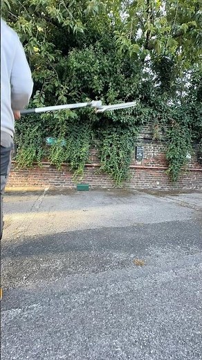 Buddleia cut back hedge trimming and more #hedgetrimming #hedgecutting #gardening #butterflybush