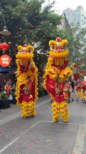 Chinese New Year Celebrations🧧Year of the Horse | Lion Dance #shorts